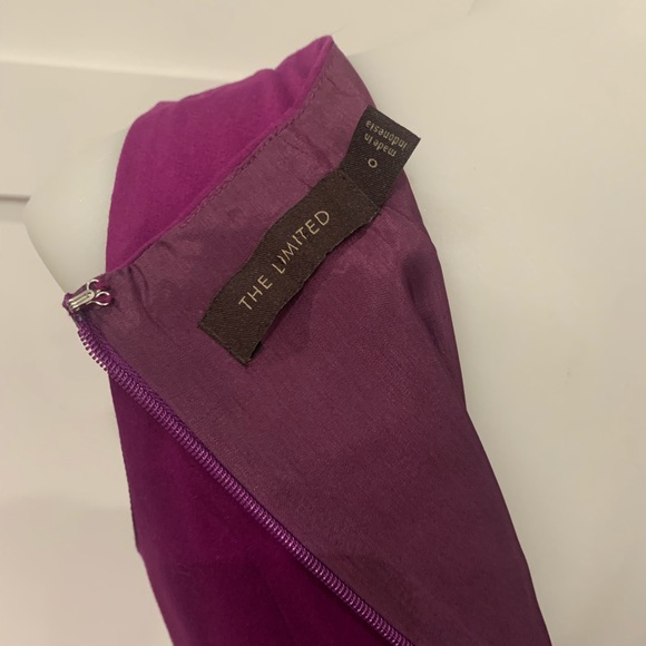 The Limited Herringbone Dress - Picture 8 of 8